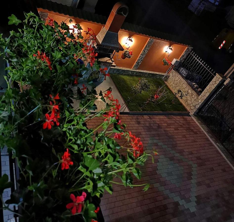 فندق Casa Cizi Călimăneşti المظهر الخارجي الصورة