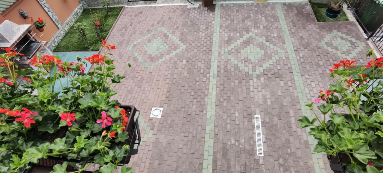 فندق Casa Cizi Călimăneşti المظهر الخارجي الصورة