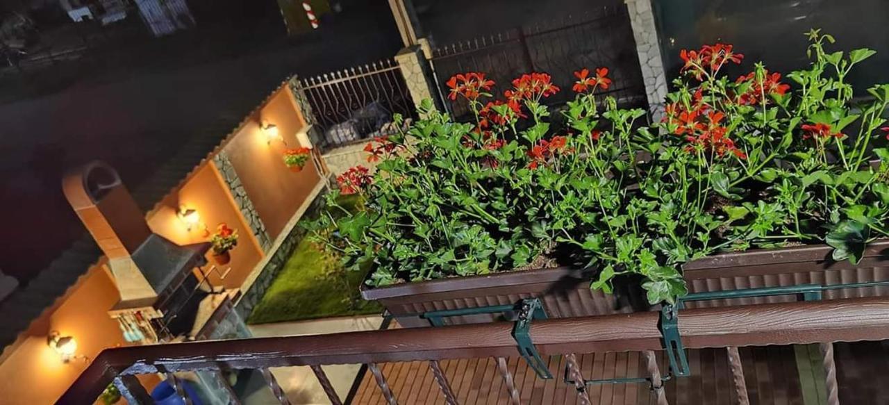 فندق Casa Cizi Călimăneşti المظهر الخارجي الصورة