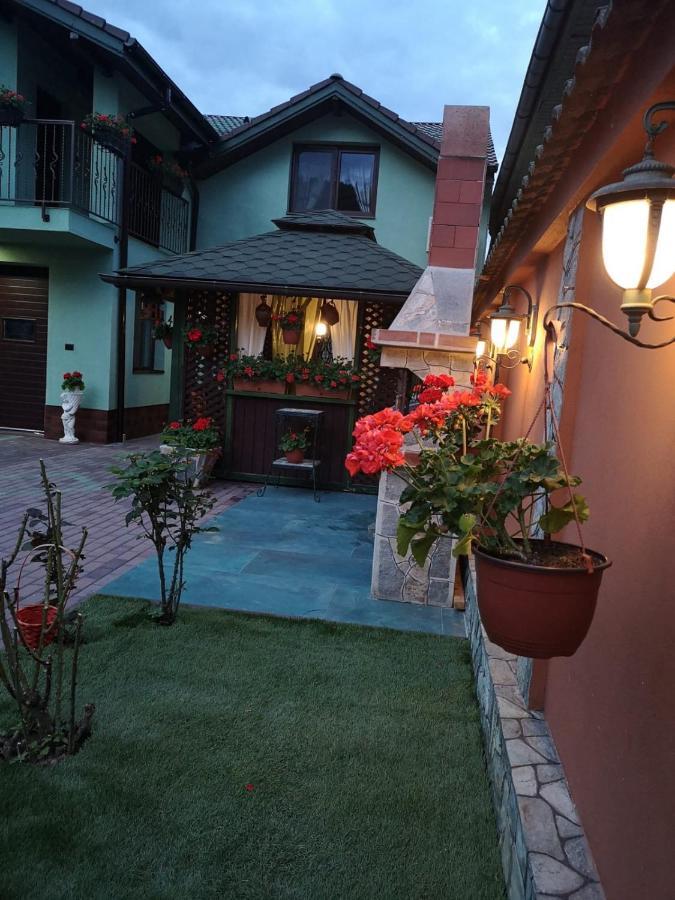 فندق Casa Cizi Călimăneşti المظهر الخارجي الصورة