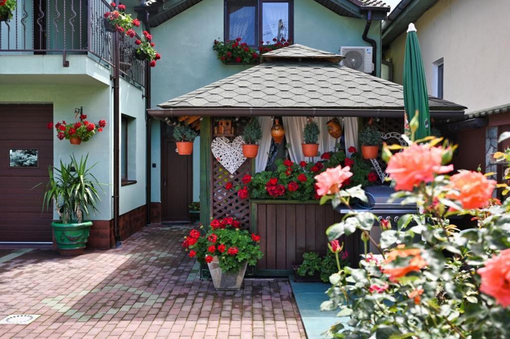 فندق Casa Cizi Călimăneşti المظهر الخارجي الصورة