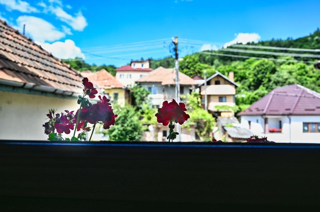 فندق Casa Cizi Călimăneşti المظهر الخارجي الصورة